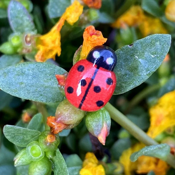 BEgnRed-Acrylic-Ladybug-Self-Adhesive-Stickers-Home-Wedding-Party-Decor-Handicrafts-Halloween-Gifts-DIY-Potted-Plants.jpg