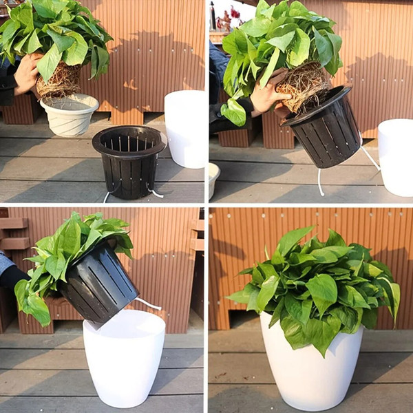 KsuiLazy-Flower-Pot-Automatic-Water-Absorbing-Flowerpot-Transparent-Plastic-Self-Watering-Planter-Plants-Nursery-Pods-Flowerpot.jpeg