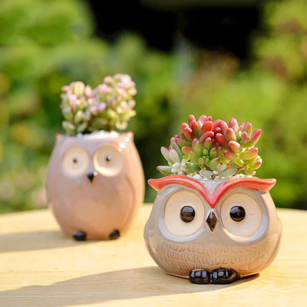 NK4rCeramic-Owl-Flower-Pot-Garden-Office-Decoration-Succulent-Mini-Owl-Flowerpot-Cute-Animal-Flowerpot-Cactus-Plants.jpg