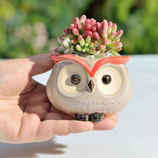 uWJGCeramic-Owl-Flower-Pot-Garden-Office-Decoration-Succulent-Mini-Owl-Flowerpot-Cute-Animal-Flowerpot-Cactus-Plants.jpg