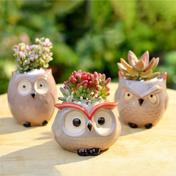 4XRWCeramic-Owl-Flower-Pot-Garden-Office-Decoration-Succulent-Mini-Owl-Flowerpot-Cute-Animal-Flowerpot-Cactus-Plants.jpg