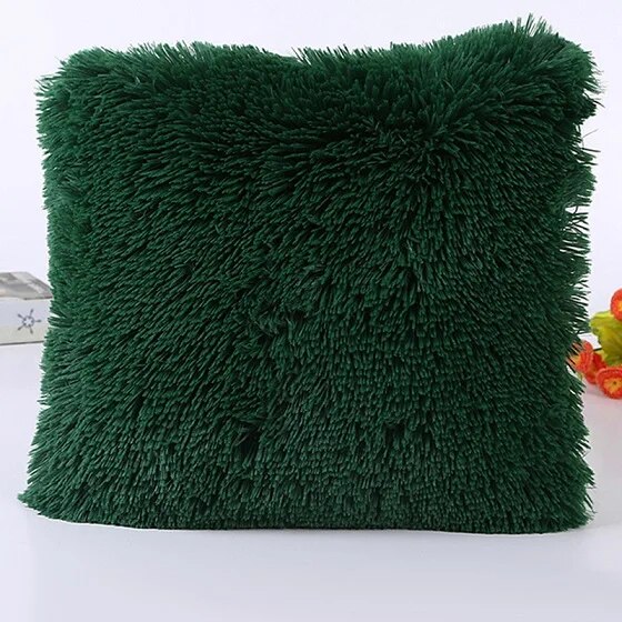 pZo3Soft-Plush-Faux-Fur-Decorative-Cushion-Pillowcase-Throw-Pillow-For-Sofa-Car-Chair-Hotel-Home-Decoration.jpg