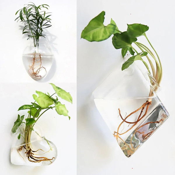 sfKuFashion-Wall-Hanging-Glass-Flower-Vase-Terrarium-Wall-Fish-Tank-Aquarium-Container-Flower-Planter-Pots-Home.jpg