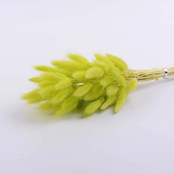 VYpR50PCS-Bunny-Rabbit-Tail-Grass-Natural-Dried-Flowers-Bouquet-Wedding-Christmas-Decoration-Lagurus-Pampas-Home-Decor.jpg