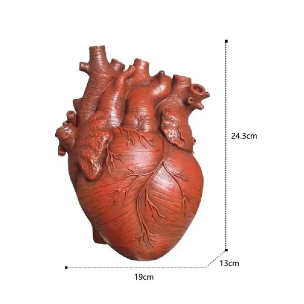 IfcXVase-Container-Simulation-Anatomical-Heart-shaped-Dried-Flower-Pot-Art-Vase-Human-Statue-Desktop-Home-Decoration.jpg