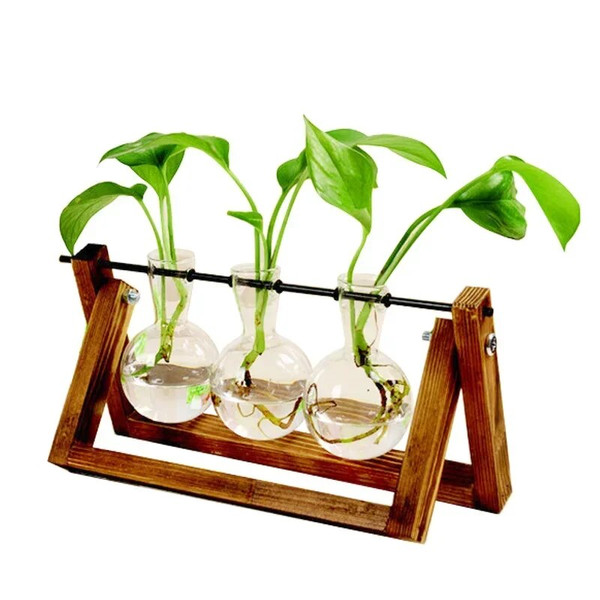 X0HbBonsai-Decor-flower-vase-Plant-Transparent-Vase-Wooden-Frame-vase-decoratio-Glass-Tabletop-Plant-flower-shaped.jpg