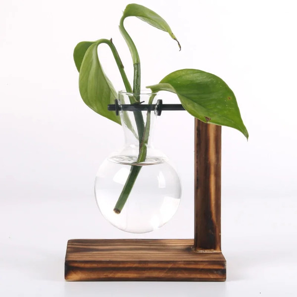 ZDepHydroponic-Plant-Terrarium-Vasevase-Decoration-Home-Glass-Bottle-Hydroponic-Desktop-Decoration-Office-Green-Plant-Small-Potted.jpg
