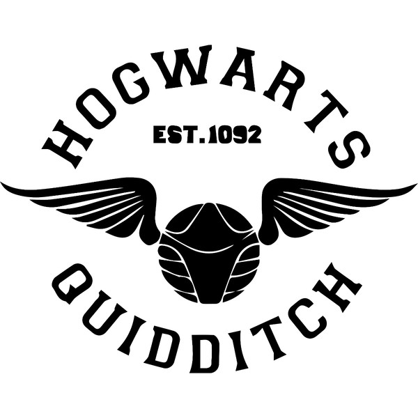 8.Hogwarts quiddtitch.jpg