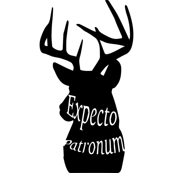 12.Expecto patronum.jpg