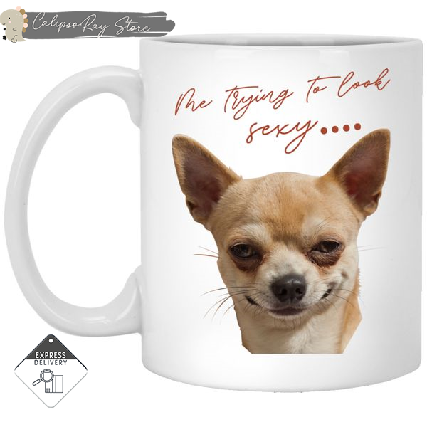 Look At Me Chihuahua Mugs.jpg