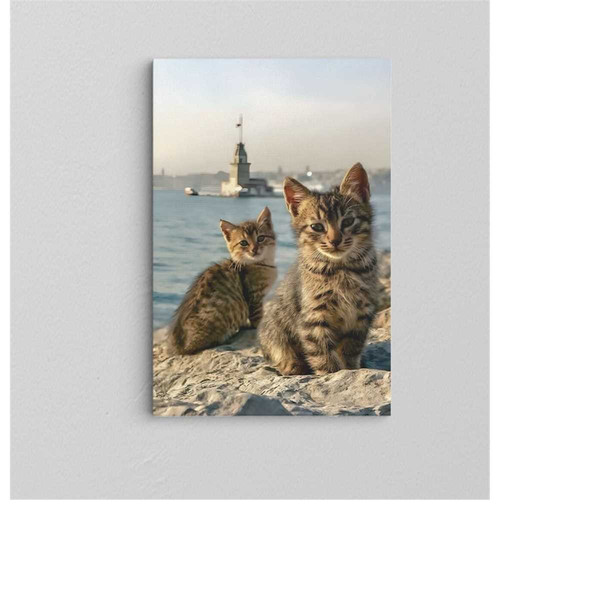 MR-291120238287-istanbul-cats-canvas-cute-cat-wall-art-maidens-tower-image-1.jpg