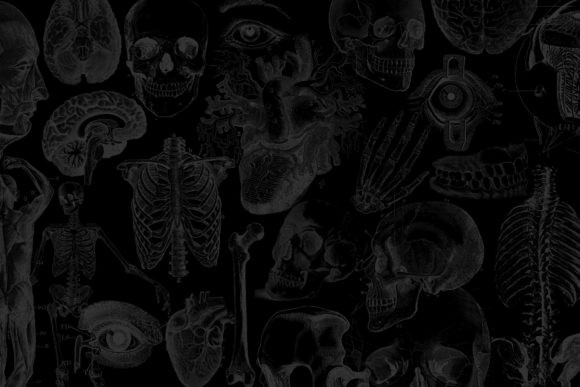 Antique-Anatomy-Overlays-Set-2-Graphics-5648298-3-580x387.jpg