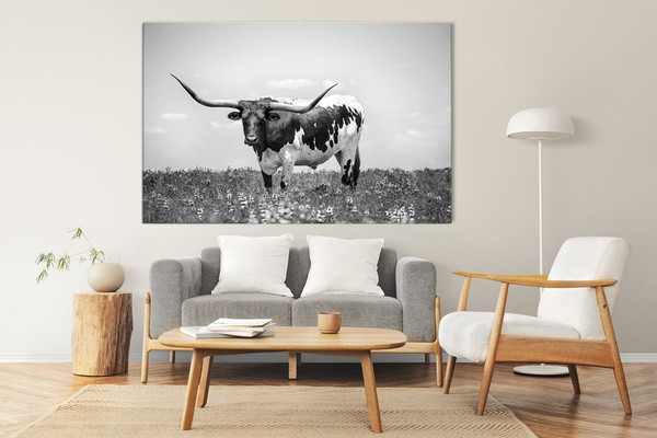 Texas longhorn steer.jpg