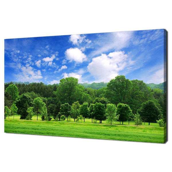Summer Landscape Green Forest With Bright Blue Sky Modern Landscape Design Home Decor Canvas Print Wall Art Picture Wall Hanging.jpg