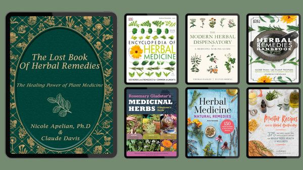 the Lost Book Of Herbal Remedies.png