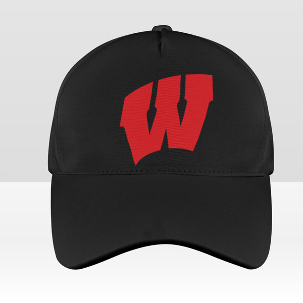 Wisconsin Badgers Baseball Hat.png