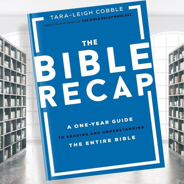 The-Bible-Recap-A-One-Year-Guide-to-Reading-and-Understanding-the-Entire-Bible.jpg