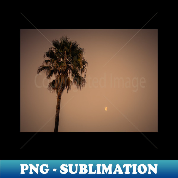 ZT-10890_California Palm Tree Under the Moon Photo V3 1185.jpg