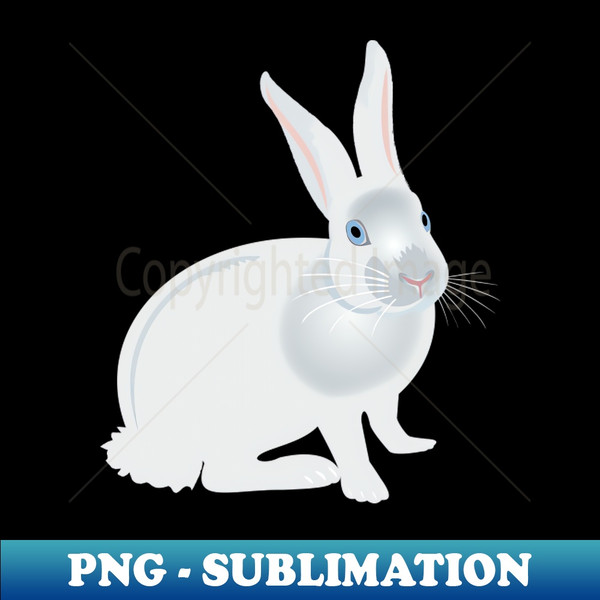 KV-86339_White Rabbit 9212.jpg