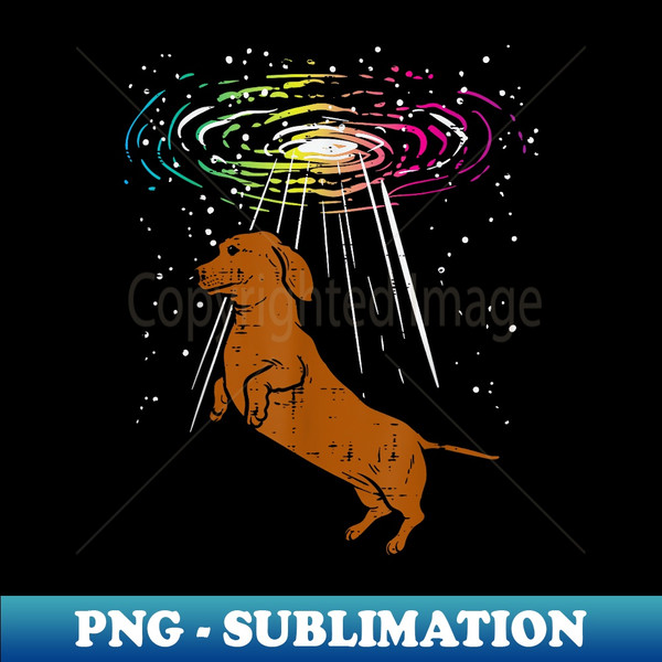 HU-16659_Space Dachshund Weiner Sausage Dog Galaxy Animal Pet  1386.jpg