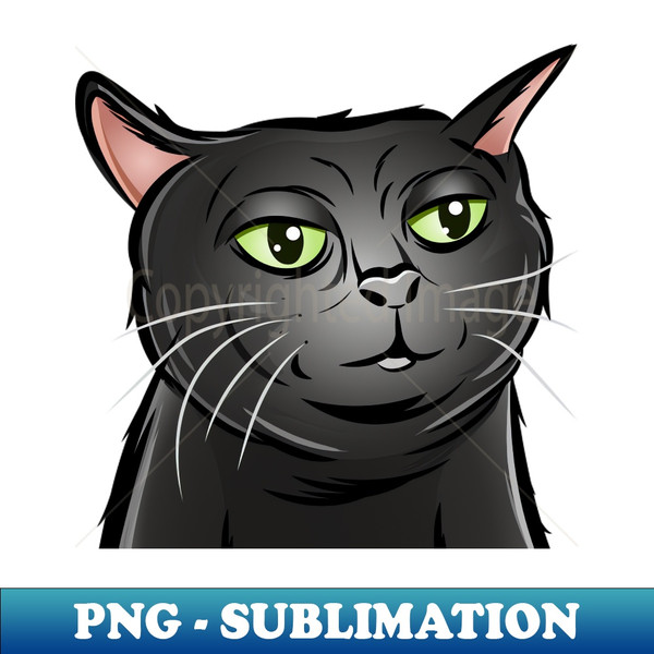 NQ-10412_Tiktok Black Cat  Viral Cat  Black Cat Zoning Out  Cat Meme 6583.jpg