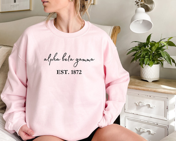 Gender-Neutral Adult Clothing,Gift for Her, Custom Sorority Hoodie, Sorority Letters, College Sweatshirt, Sorority Apparel, Sorority Wear.jpg