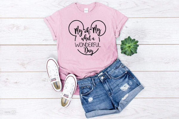 Disneyland Shirt, My Oh My What A Wonderful Day Shirt.jpg