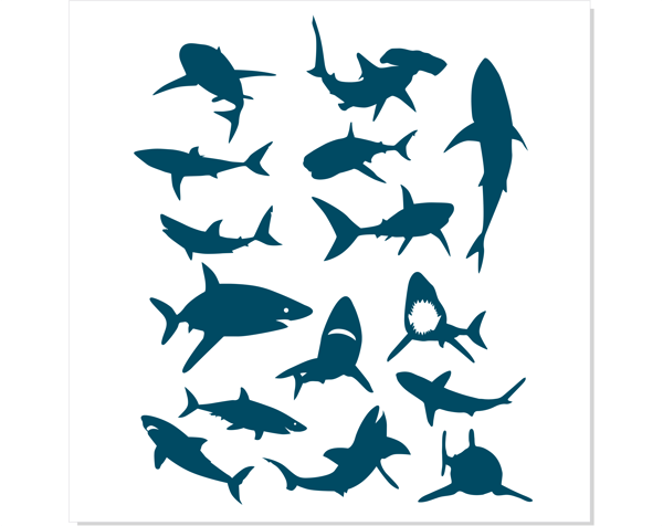 Shark Bundle png svg 2.png