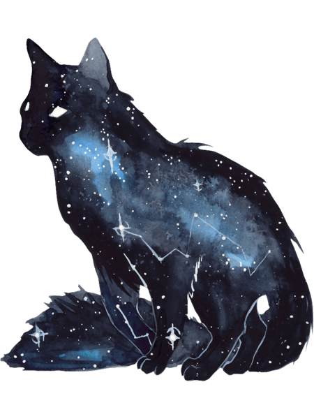 Galaxy Cat.png