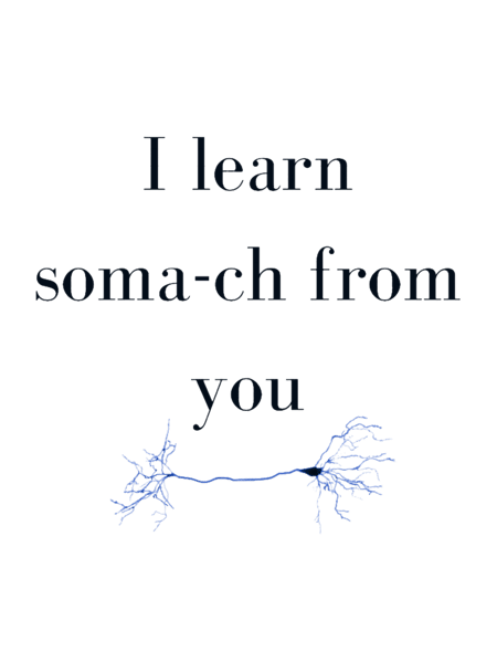 I LEARN SOMA-CH FROM YOU.png