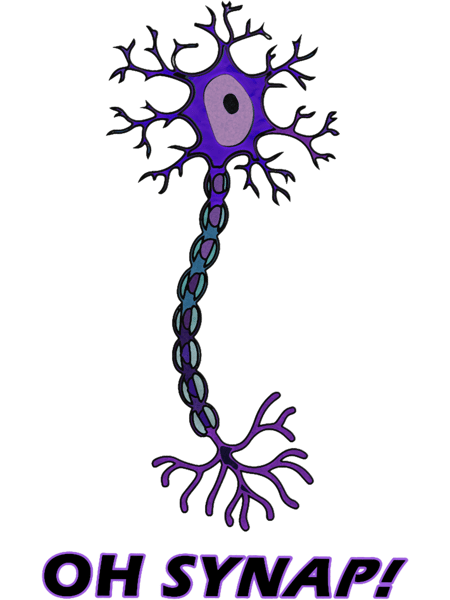 Neuron - Oh Snap! - Science Pun .png