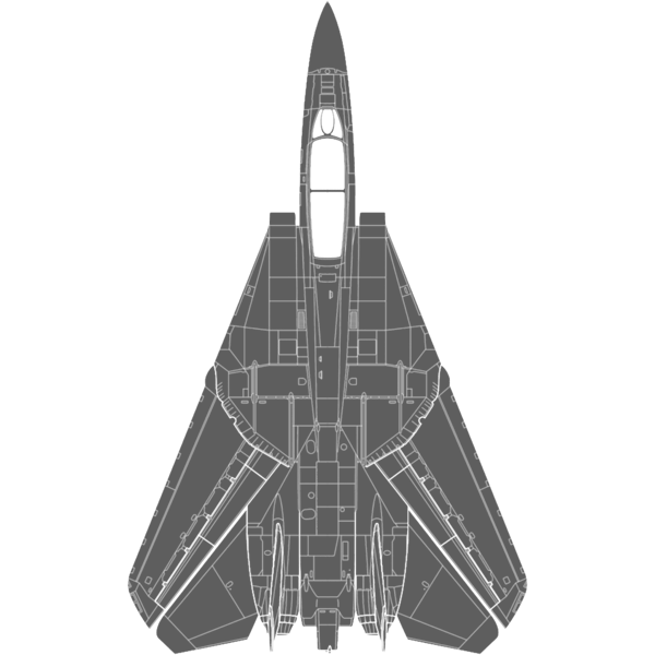 Grumman F-14 Tomcat.png