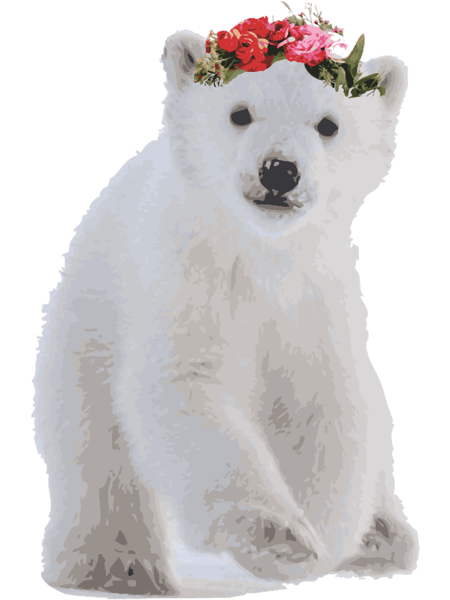 Polar Bear Vector .png