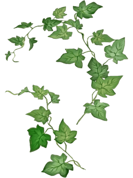 POISON IVY.png