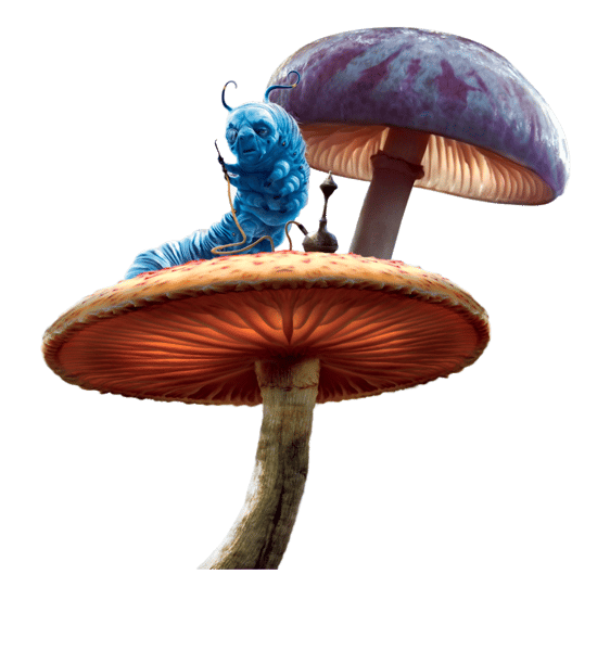 Mushroom (3).png