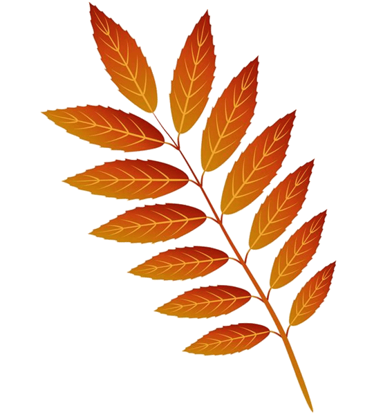 Leaves (2).png