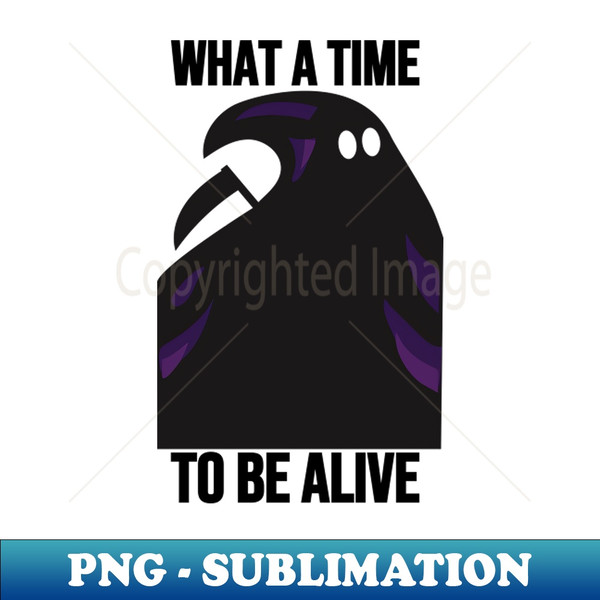 What A Time To Be Alive - Vintage Sublimation PNG Download