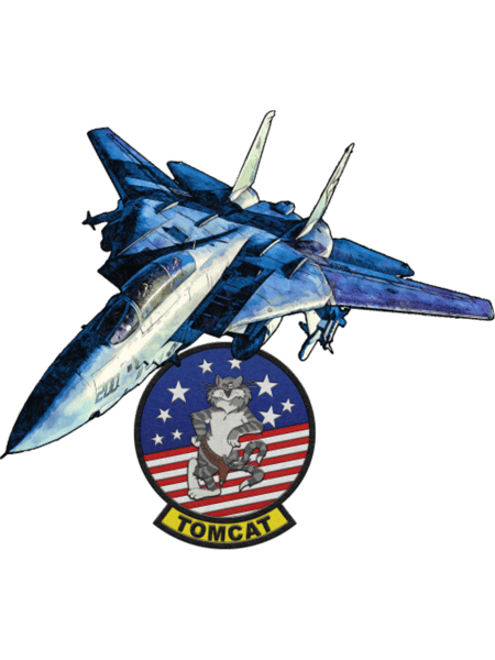 F- Tomcat6.png