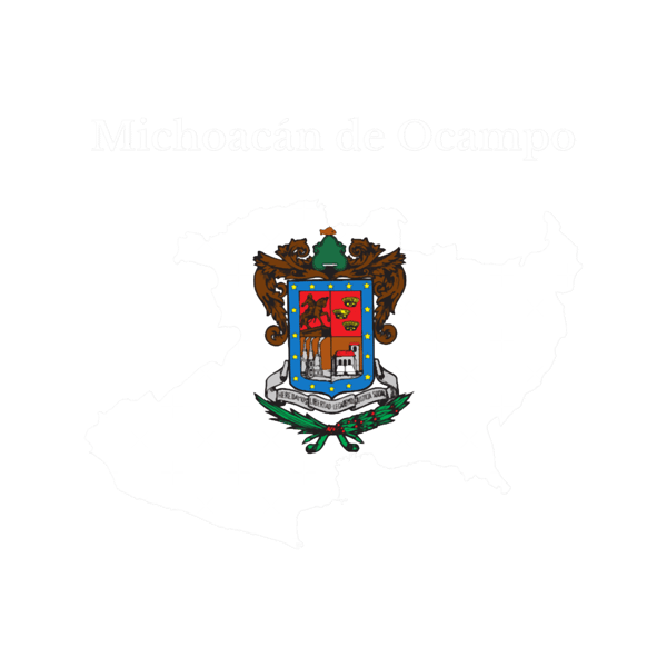 Michoacan State Map Flag, Mexico.png