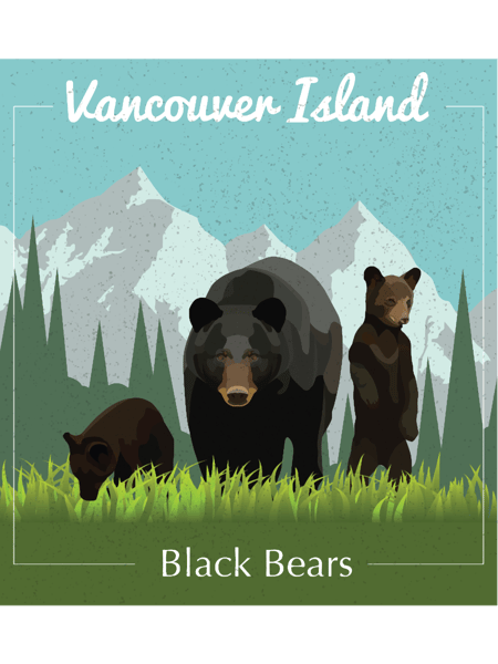 Vancouver Island Black Bear Illustration.png