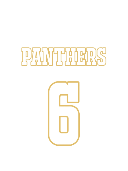Friday Night Lights_ _Panthers_Graphic .png
