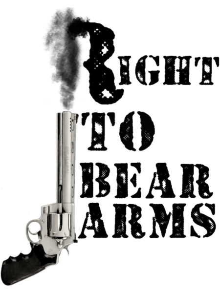 Right to Bear Arms - Protect the State and the Family V-Neck .png