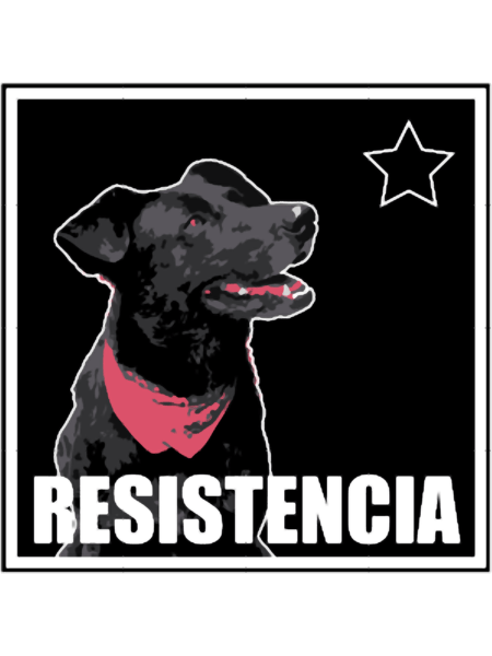 Matapaco Resistencia 19 OCT.png