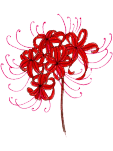 Red Spider Lily.png