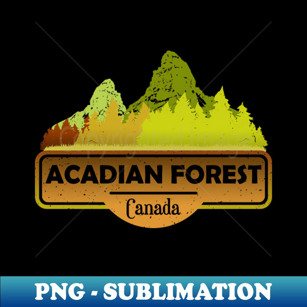 BD-646_Acadian Forest Canada - Nature Landscape 2779.jpg