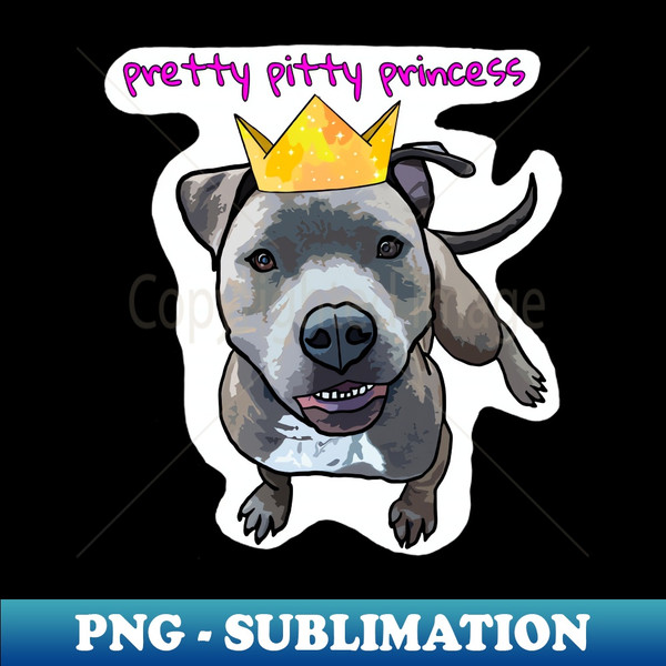 LJ-27708_Pretty Pitty Princess -grey 6040.jpg