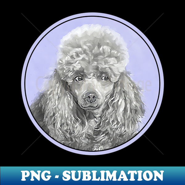 CT-37433_Poodle Miniature Toy Silver Gray Blue 3429.jpg