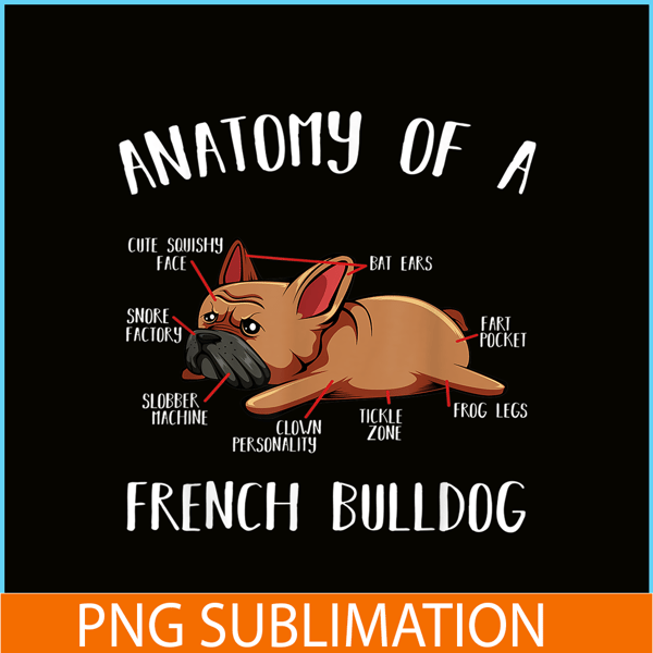 HL16102304-Anatomy Of A French Bulldog PNG Frenchie Dog PNG, Bulldog Mascot PNG.png