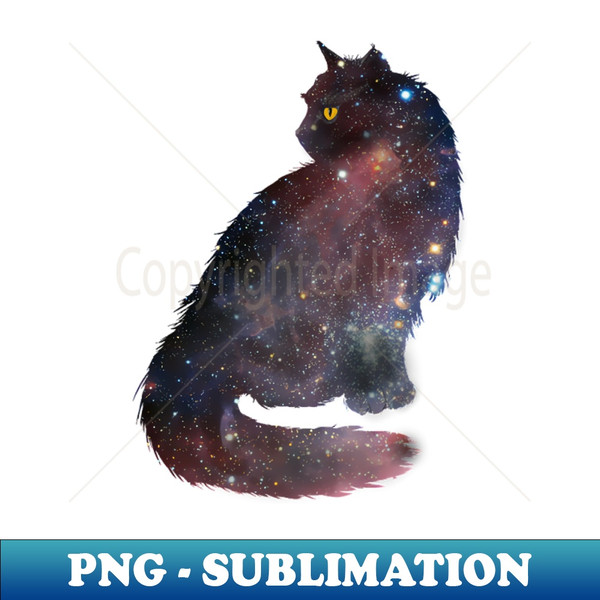 FN-2375_Space Galaxy Cats 4058.jpg