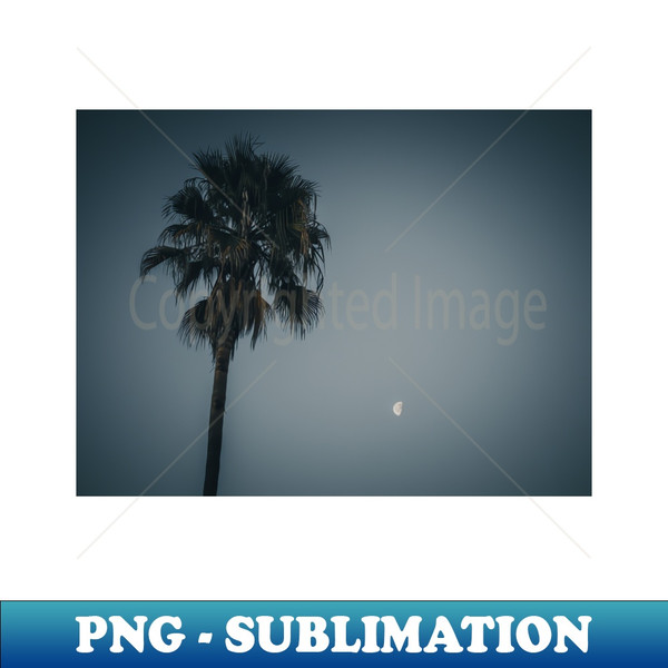 UC-10891_California Palm Tree Under the Moon Photo V4 3029.jpg